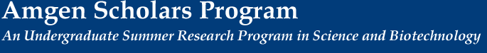 UCB Amgen Scholars Logo